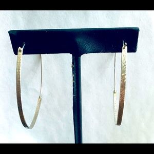 Chicago artist, Dana Reed, large Sterling Silver Hoops